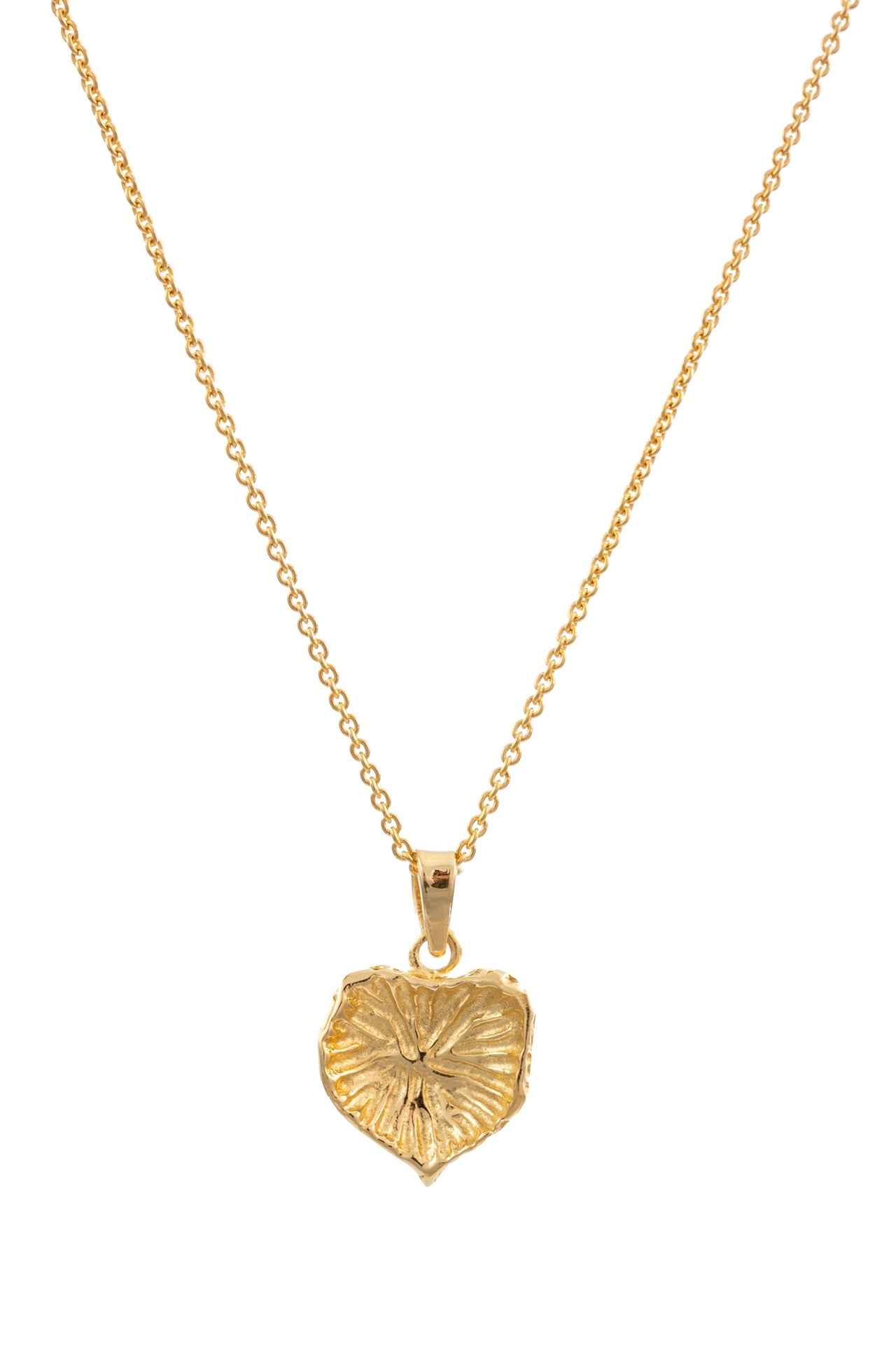 Dije Arrecife Oro